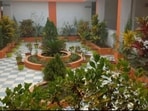 One key proposal under consideration is planting trees and plants across hospital campuses to create green zones and improve the overall ambience of public health institutions. (Santosh Kumar/ HT)