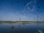 Gram it: A view of a clean sky at Yamuna Bazaar in Delhi.  