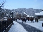 Taking note of the submissions, the HC issued notices to the state government and the Shimla MC. (HT Photo for representation) Taking note of the submissions, the HC issued notices to the state government and the Shimla MC. (HT Photo for representation)