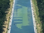 A dead duck found in Trump's renovated Reflecting Pool has sparked a wave of reactions online. 