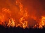 Salt Lake City wildfire: Map, evacuation updates as videos show Bonneville Fire burning near University of Utah Hospital