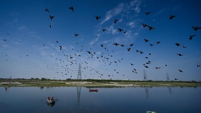 Gram it: A view of a clean sky at Yamuna Bazaar in Delhi. (Photo: Sanchit Khanna/ Hindustan Times)