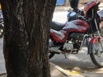As monsoon raises tree-fall fears, residents geo-tag vulnerable trees ahead of BMC survey