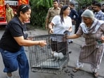 Lucknow, Jun 22 (ANI): A cat being rescued by the locals following the fire in a coaching centre at Aliganj area, in Lucknow on Monday.