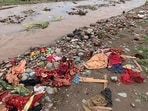 Pollution remains another major concern. Ghaggar river receives untreated or partially treated wastewater through multiple drains. (HT Photo)