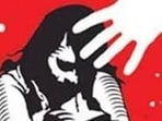 The complainant stated that her husband was released from jail on September 23, 2025. After she experienced abdominal pain, medical examinations and an ultrasound revealed that she was pregnant. She later disclosed the alleged assaults to her husband. (HT FIle)