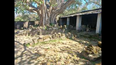 Even though the Dholbaha site is protected by the Punjab archaeology department, a shed is all that the state has provided to protect the rare ancient artefacts. (HT) Even though the Dholbaha site is protected by the Punjab archaeology department, a shed is all that the state has provided to protect the rare ancient artefacts. (HT)