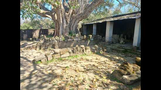 Even though the Dholbaha site is protected by the Punjab archaeology department, a shed is all that the state has provided to protect the rare ancient artefacts. (HT)