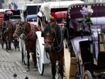 NYC Council member Christopher Marte announced that the bill to ban horse-drawn carriages will be renamed as 'Romanch's Law'.