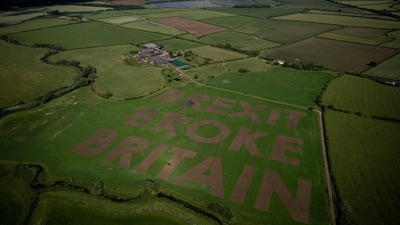 "Brexit broke Britain": Activists and political campaign group 'Led By Donkeys' mowed this message into a farmer’s field for the 10-year anniversary of Brexit, near Cricklade in Wiltshire. (Reuters Photo)