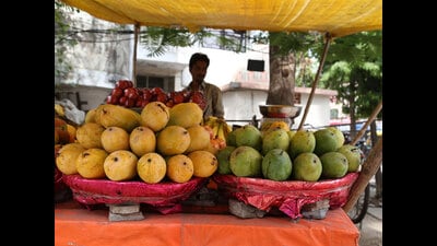 In North India, summer never arrives gently. It enters with blazing afternoons, noisy ceiling fans, dusty winds, and the scent of ripe mangoes floating through crowded markets. (HT File) In North India, summer never arrives gently. It enters with blazing afternoons, noisy ceiling fans, dusty winds, and the scent of ripe mangoes floating through crowded markets. (HT File)
