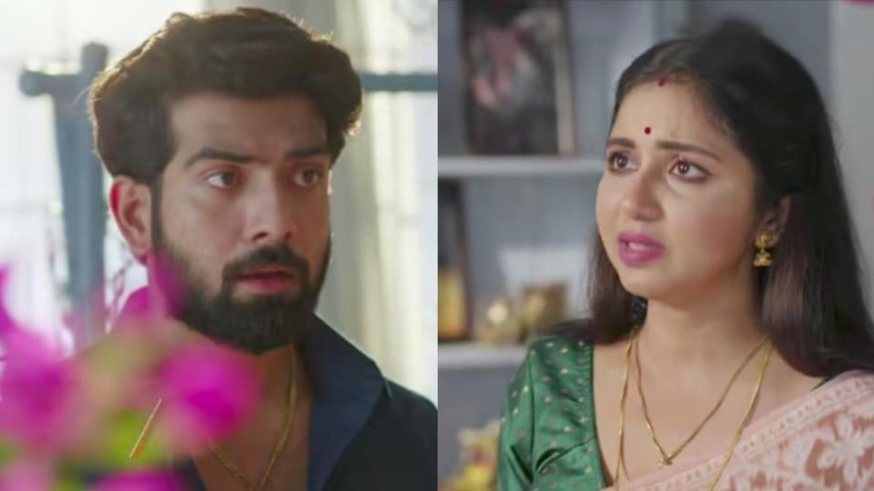 স্নেহের প্রতি রাজার ভালোবাসার কথা জেনে যা করল দিদি