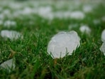 Wiggins in Colorado saw damage from a hail storm on June 24. Image for representational purposes. Wiggins in Colorado saw damage from a hail storm on June 24. Image for representational purposes.