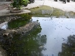 During a spot check by HT on June 21, the school’s second building witnessed water overflow within its premises, (Parveen Kumar/HT)