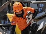 A responder carries a rescue dog while conducting search and rescue operations in a collapsed building after a 7.8 magnitude earthquake in General Santos City
