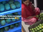Mother-in-law’s mango gift wins hearts online.