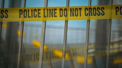 The bodies were found inside a parked car near a toll plaza, police said. (Representative photo) The bodies were found inside a parked car near a toll plaza, police said. (Representative photo)