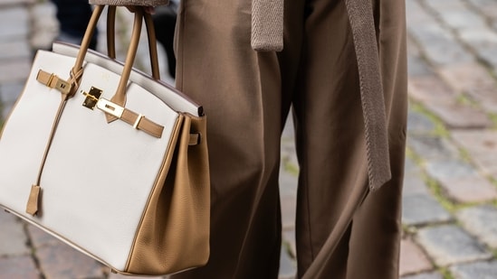 A woman carrying a Hermès bag. (Representational image). (Pexels)