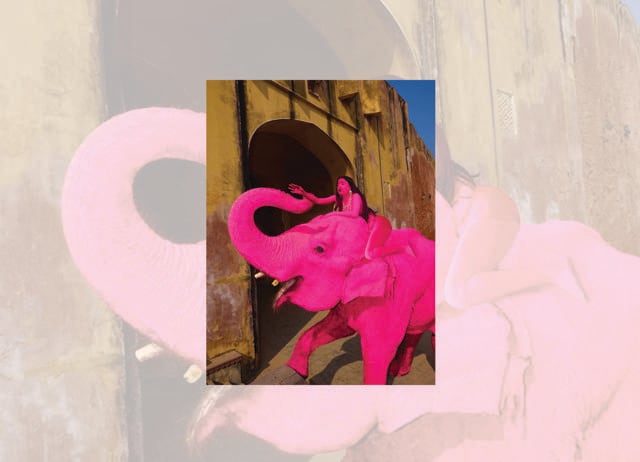 Julia Buruleva drew criticism for painting a 65-year-old elephant pink for a shoot in Jaipur. (INSTAGRAM/@JULIA.BURULEVA) Julia Buruleva drew criticism for painting a 65-year-old elephant pink for a shoot in Jaipur. (INSTAGRAM/@JULIA.BURULEVA)