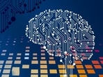 Risks and rewards of India’s software products