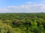 A view of the Qutub Minar in the distance from Sanjay Van, a reserve forest in New Delhi. (Sanjeev Verma/HT PHOTO)