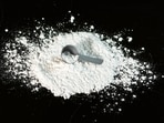 It was emphasised that the state government is committed to eliminating the menace of "chitta" (heroin) through a comprehensive strategy.