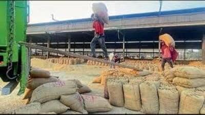 As per the instructions, all procurement entities are required to publish details of tenders and contracts exceeding  ₹5 crore relating to goods. (HT Photo for representation)