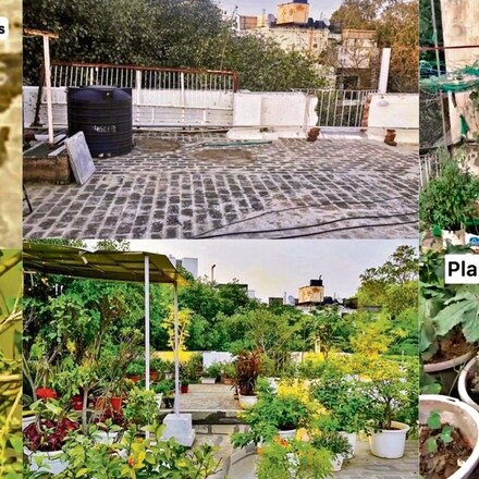 This 23-year-old Delhiite turned his terrace in Vasant Vihar into
