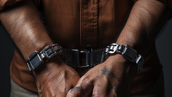Six accused from Bangladesh arrested by Kerala police for illegally staying and working in Kochi (Representational/ Pixabay)
