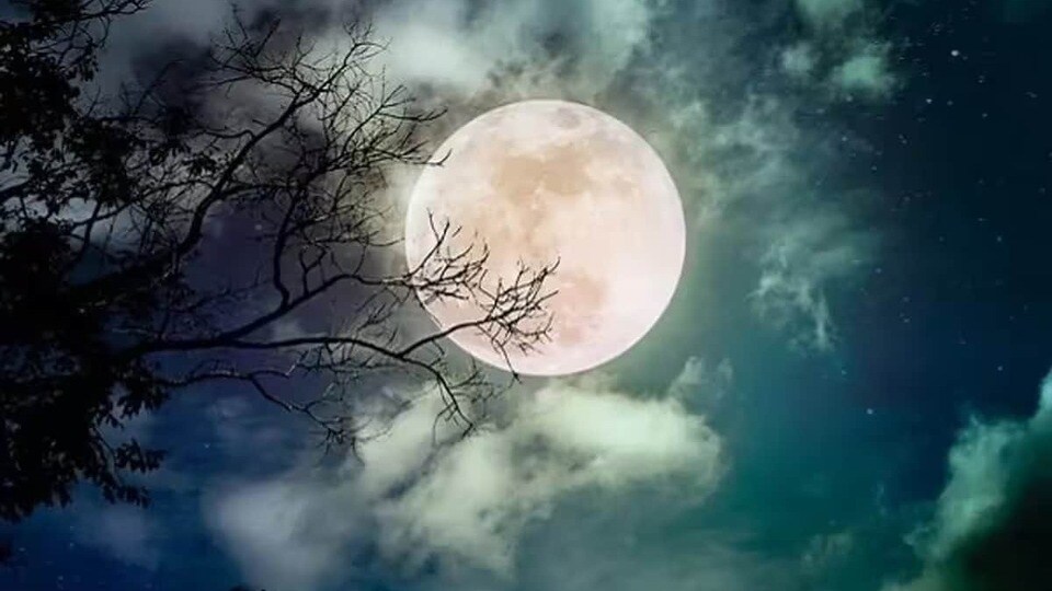 Vat Purnima 2026: ভ্যাট পূর্ণিমা উপবাস আর মাস পালন করা হবে না, বিভ্রান্তি দূর করুন, এই উৎসবের সঠিক তারিখ জানুন