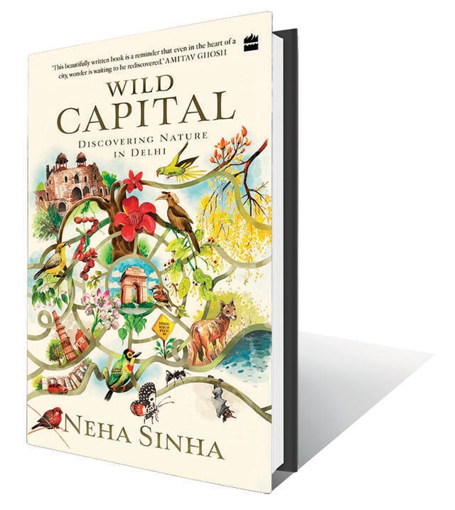 320pp, ₹799; HarperCollins 320pp, ₹799; HarperCollins