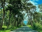 Karnataka has decided to fully reopen jungle safari operations at the Bandipur and Nagarahole Tiger Reserves