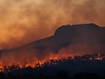 Mandatory evacuations were ordered as the Cherry and Maple Peak fires merged in Juab County, Utah. Image for representational purposes. Mandatory evacuations were ordered as the Cherry and Maple Peak fires merged in Juab County, Utah. Image for representational purposes.
