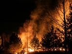 A vegetation fire dubbed the Deer Fire broke out in Antioch, California. Image for representational purposes.