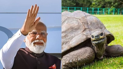 বিশ্বের সবচেয়ে দীর্ঘজীবী প্রাণীর সঙ্গে সাক্ষাৎ করবেন PM মোদী (সৌজন্যে টুইটার)