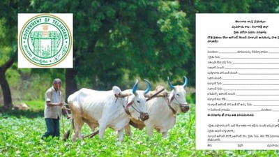 రైతు భరోసా స్కీమ్ అప్లికేషన్లు రైతు భరోసా స్కీమ్ అప్లికేషన్లు