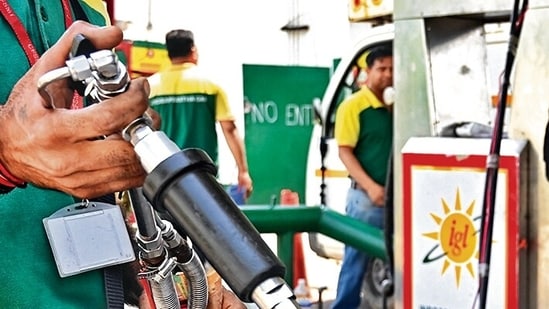 CNG (REPRESENTATIVE PIC)