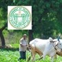 రైతు భరోసా స్కీమ్ అప్లికేషన్లు 