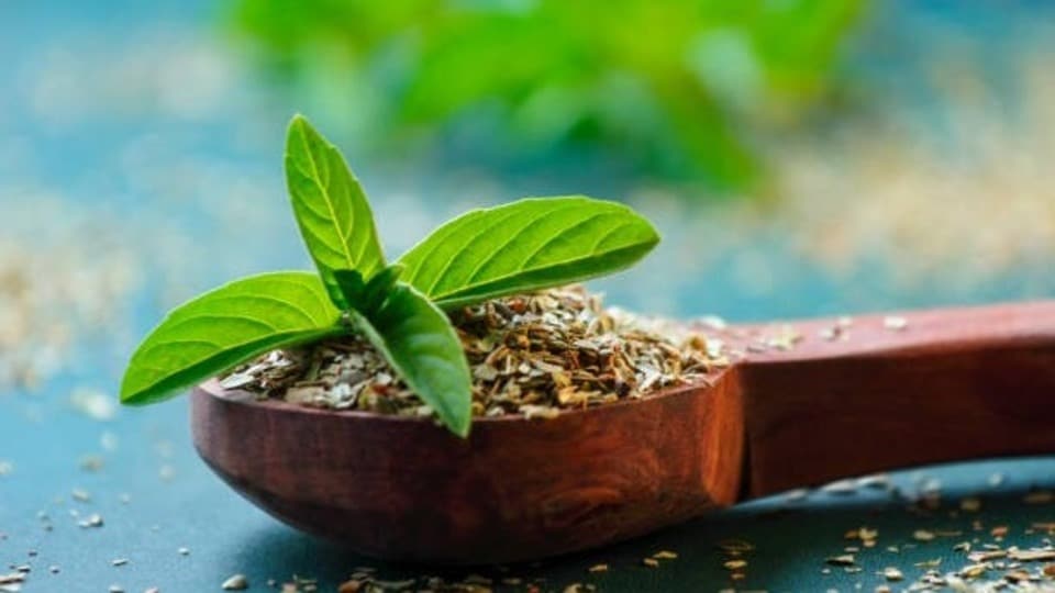 <p>భారతదేశంలో దాదాపు ప్రతి ఇంట్లో తులసి మొక్క ఉంటుంది. ఈ తులసి మొక్కకు అనేక ఆరోగ్య ప్రయోజనాలు ఉన్నాయి. దీనిలో రోగనిరోధక హార్మోన్లను ఉత్తేజపరిచే గుణాలు ఉంటాయి. అందువల్ల ఇది శ్వాసకోశ సంబంధిత ఇన్ఫెక్షన్లతో పోరాడుతుంది. వర్షాకాలంలో తులసి, సోంపు గింజలతో చేసిన టీ తాగడం వల్ల ఆరోగ్య ప్రయోజనాలు పొందవచ్చు. తులసి, సోంపు గింజలను మరిగే నీటిలో వేయాలి. తర్వాత వడకట్టి, దానికి తేనె కలిపి టీ తయారు చేసుకోవాలి.</p>