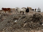 BWGs include entities that produce more than 100kg of waste per day, buildings with an area of 20,000 sqms or more, or water consumption of 40,000 litres per day or more. (HT Archive)