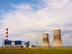 Under the deal, Torrent Power acquired 100% equity shares and convertible instruments of Nabha Power Limited (NPL), which owns and operates the Rajpura plant. (NPL)