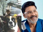 మాట రాని మూగ వేదన..భాగ్యరాజ్ శవపేటిక దగ్గర దీనంగా పెంపుడు కుక్క