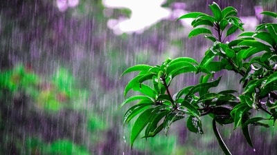 తెలంగాణ, ఏపీ వర్షాలు