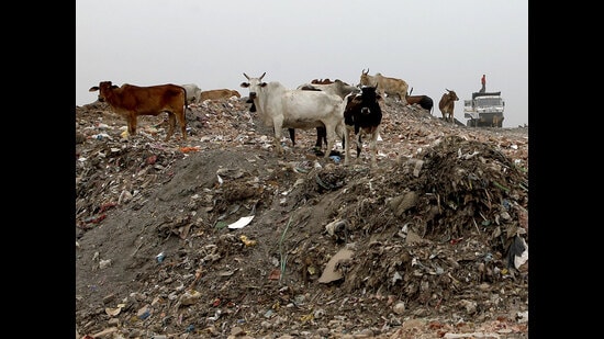 BWGs include entities that produce more than 100kg of waste per day, buildings with an area of 20,000 sqms or more, or water consumption of 40,000 litres per day or more. (HT Archive)