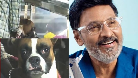 మాట రాని మూగ వేదన..భాగ్యరాజ్ శవపేటిక దగ్గర దీనంగా పెంపుడు కుక్క