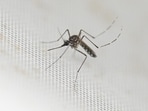Malaria cases rise in the monsoon, and children are particularly vulnerable. 