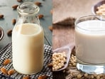 Almond Milk vs Soy Milk