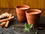 One sip, and I was back in the sun-soaked courtyard of our home, where afternoons drifted lazily beneath slow ceiling fans, where earthen pots lined shaded ledges, and where kulhads were not curated novelties but companions of everyday living. (Ojas - stock.adobe.com/ Representational image)