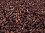 Raisins are rich in dietary fibres, notes Dr Vatsya. 