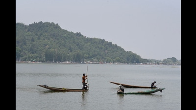 Labourers from the Jammu and Kashmir Lakes and Waterways Development Authority remove weeds from the waters of Dal Lake on a summer hot day, in Srinagar on Monday. (Basit Zargar) Labourers from the Jammu and Kashmir Lakes and Waterways Development Authority remove weeds from the waters of Dal Lake on a summer hot day, in Srinagar on Monday. (Basit Zargar)